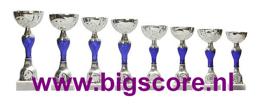 Z537 Beker Blauw-Zilver